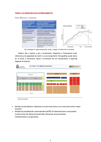 TEMA-6-mesociclo.pdf