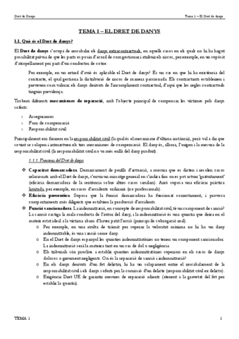 TEMA-1-El-Dret-de-danys.pdf