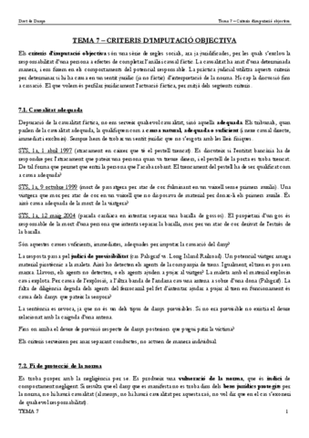 TEMA-7-Imputacio-objectiva.pdf