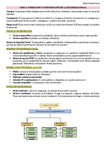 Resumen-examen-final-SS.pdf