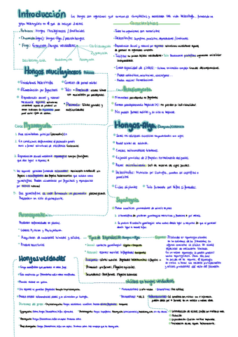 Apuntes-micologia.pdf