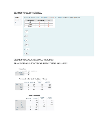 EXAMEN-FINAL-ESTADISTICA-202324.pdf