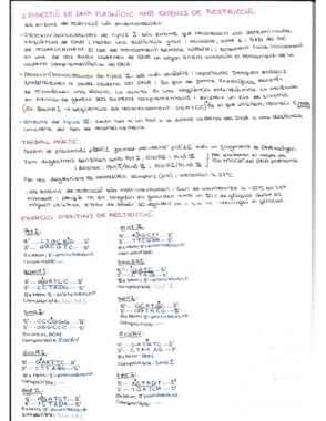 PRACTIQUES BIOMOL.pdf