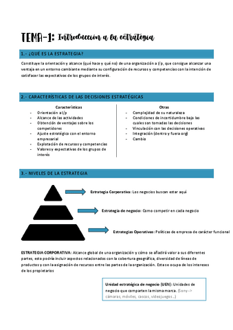 Direccion-estratexica-temas-1-4.pdf