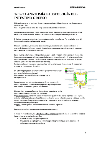 Tema-7.1-Anatomia-e-histologia-del-intestino-grueso.pdf