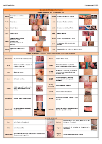 TEMA-2-DIAGNOSTICO-EN-DERMATOLOGIA.pdf