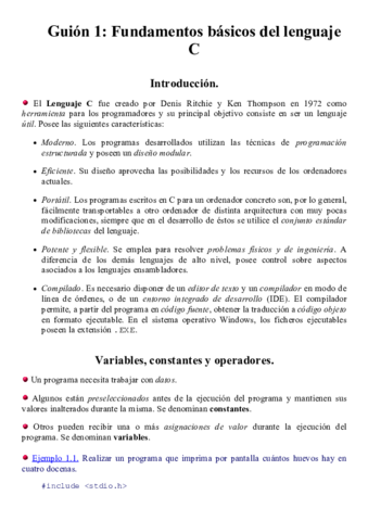 Guión 1.pdf