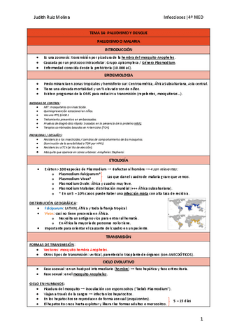 TEMA-14-PALUDISMO-Y-DENGUE.pdf