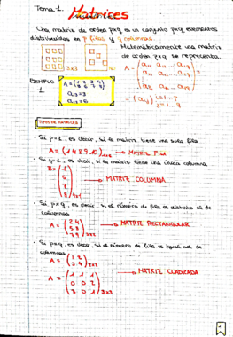 Tema 1 - Matrices.pdf