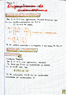 Tema 5 - Diagonalizacion de Endomorfismos.pdf