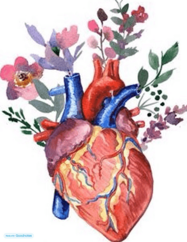 ESTRUCTURA-I-FUNCIO-DEL-COS-HUMA-TODO-APUNTES.pdf