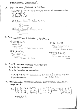 Ejercicios Matrices y Determinantes.pdf