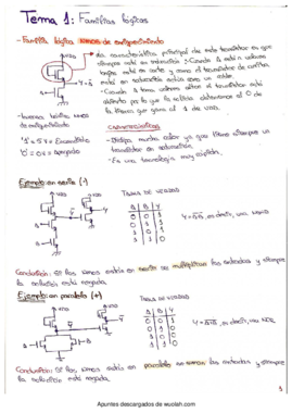 T1-Familias lógicas.pdf