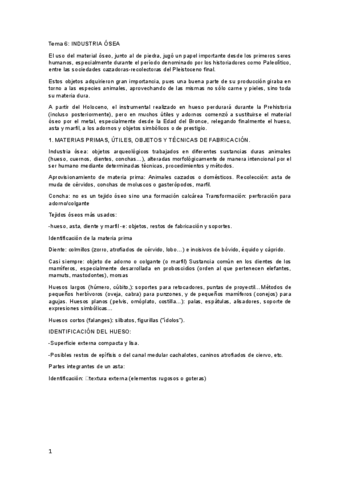 ARQUE.-TEMA-6-INDUSTRIA-OSEA.pdf