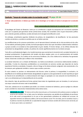 TEMA1_DELINCUENCIA_ANDREA.pdf
