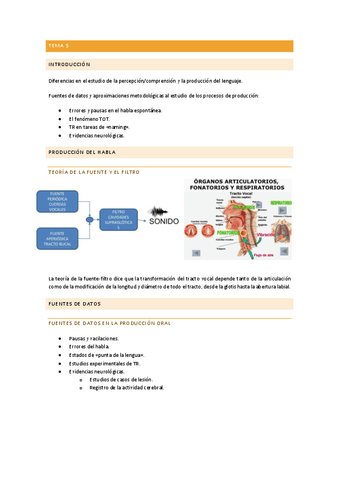 Tema-5.-Fundamentos.pdf