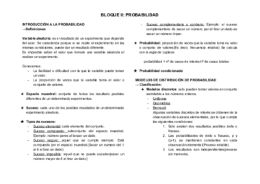 RESUMEN BLOQUE II.pdf