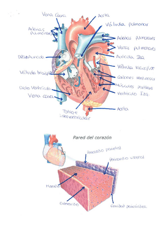 Dibujos-parcial-1-EyF-II.pdf