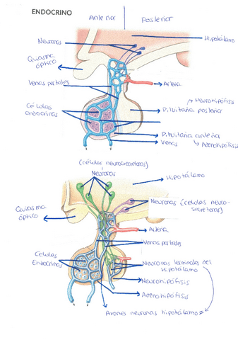 Dibujos-parcial-2-EYF-II.pdf