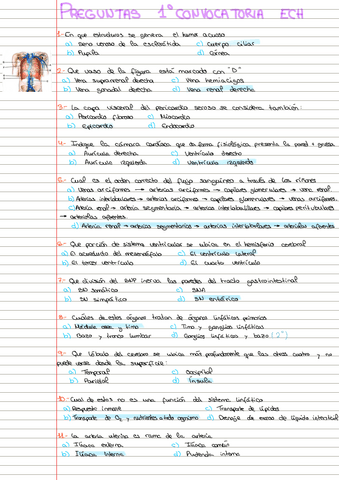 PREGUNTAS-ECH-CONV.pdf