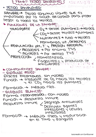 Resumenes-repaso-Patologia-I-1-13.pdf