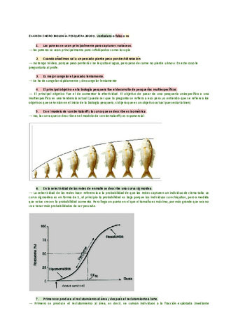 Examen-corregido.pdf