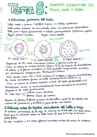 Temas-8-15-resumidos-2Parcial.pdf