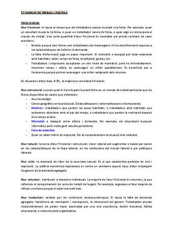 T.6-Mercat-de-treball-i-politica.pdf
