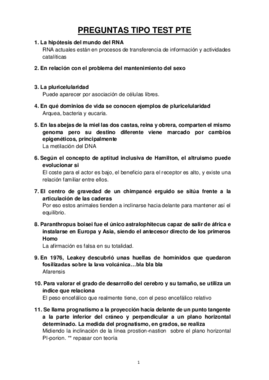 PREGUNTAS PTE.pdf