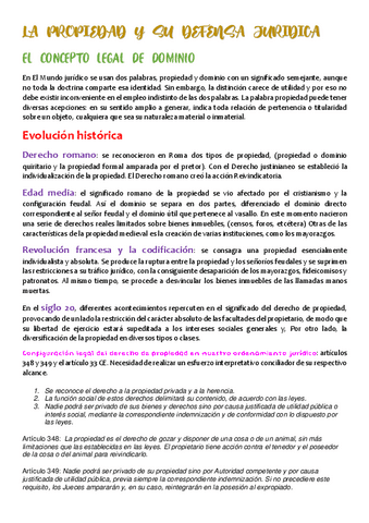 LA PROPIEDAD Y SU DEFENSA JURIDICA (tema 4).pdf