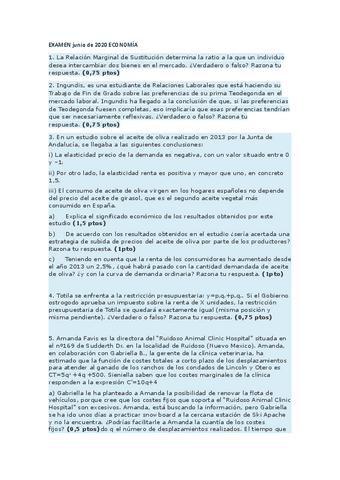 EXAMEN-JUNIO-2020.pdf