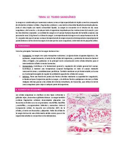 TEMA-12-TEJIDO-SANGUINEO.pdf