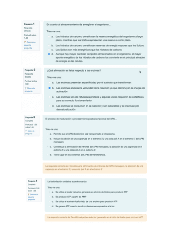 EXAMEN-BIOQUIMICA-PRUEBA.pdf