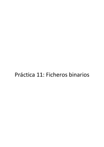 Informe-Practica-11-Con-Ejercicios-Opcionales.pdf