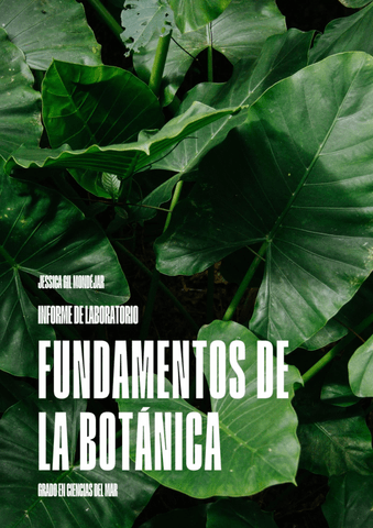 LIBRETA-PRÁCTICA DE LABORATORIO.pdf