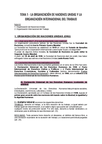 TEMA-1-D.-Social-de-la-UE.pdf