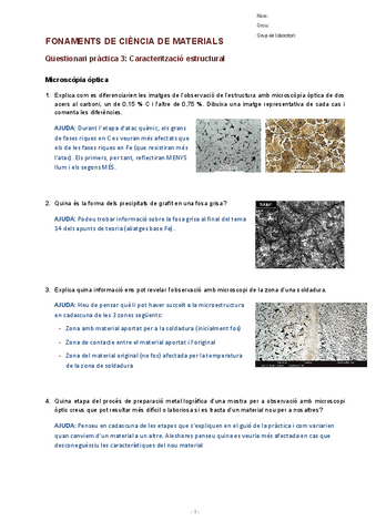 FCM-Questionari-P3-AJUDES-per-a-la-seva-resolucio.pdf