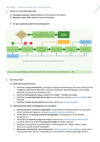T7ProcedimentRestauracio.pdf