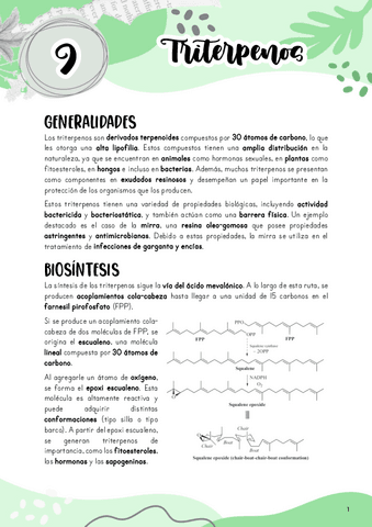 Tema-9.-Triterpenos.pdf