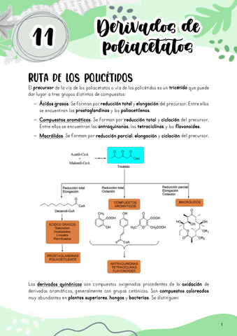 Tema-11.-Derivados-de-poliacetatos.pdf