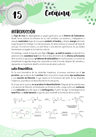 Tema-15.-Cocaina.pdf