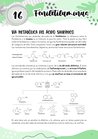 Tema-16.-Feniletilaminas.pdf