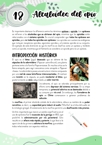 Tema-18.-Alcaloides-del-opio.pdf