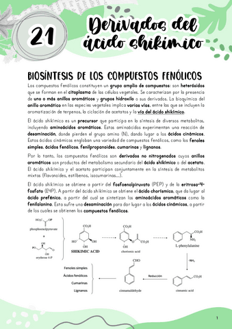 Tema-21.-Derivados-del-acido-shikimico.pdf