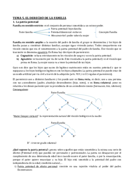 TEMA 5.pdf