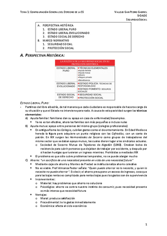 T1-CONFIGURACION-GENERAL-DEL-DERECHO-DE-LA-SS.pdf