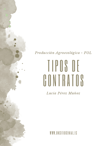 Plantilla-tipos-de-contratos-Lucia-Perez.pdf