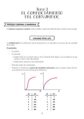 APUNTES T3 ECO.pdf