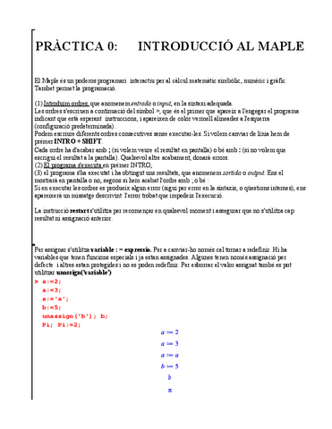 iINTRODUCCIO-MAPLE.pdf