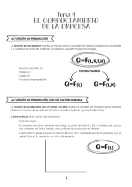 APUNTES T4 ECO.pdf